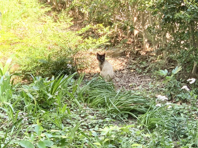 B508F915-DE47-43FF-B902-AC65D05D42D1