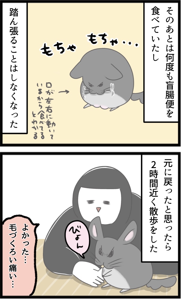 943A60EF-8095-41F0-BD56-869454992133