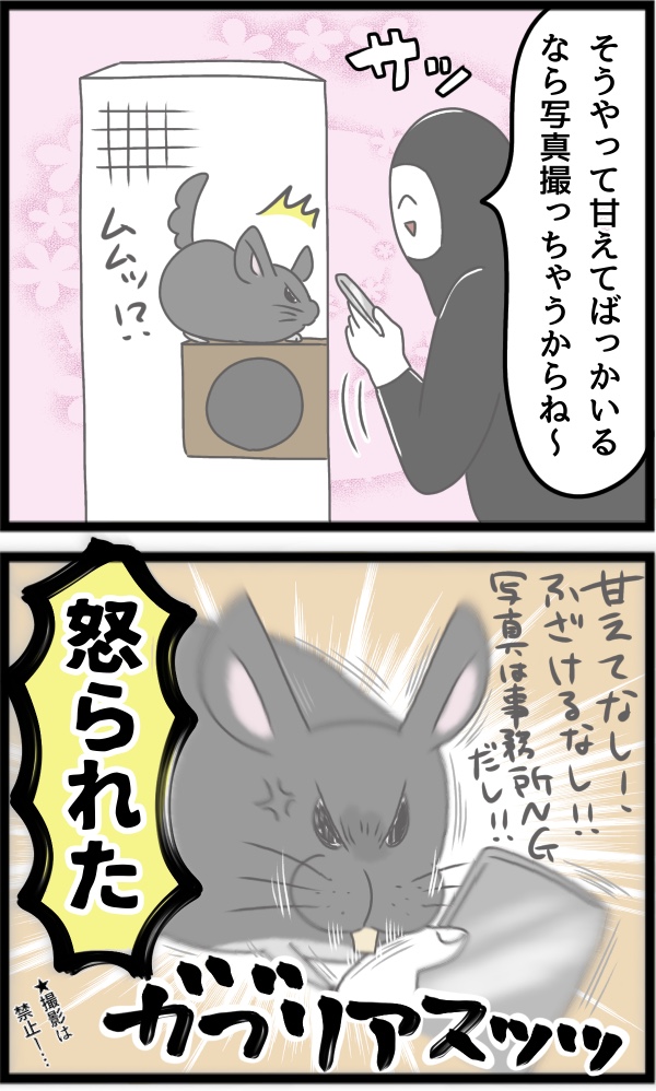 A85DF096-BA4A-4063-BF46-C82F6F9F2473