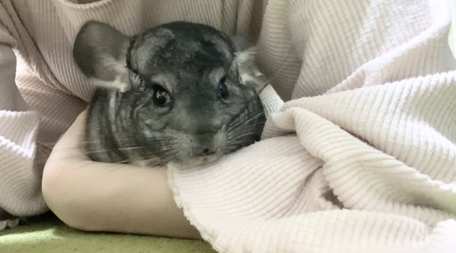 9211CB34-E518-4C78-B533-4A140ADE9C1A