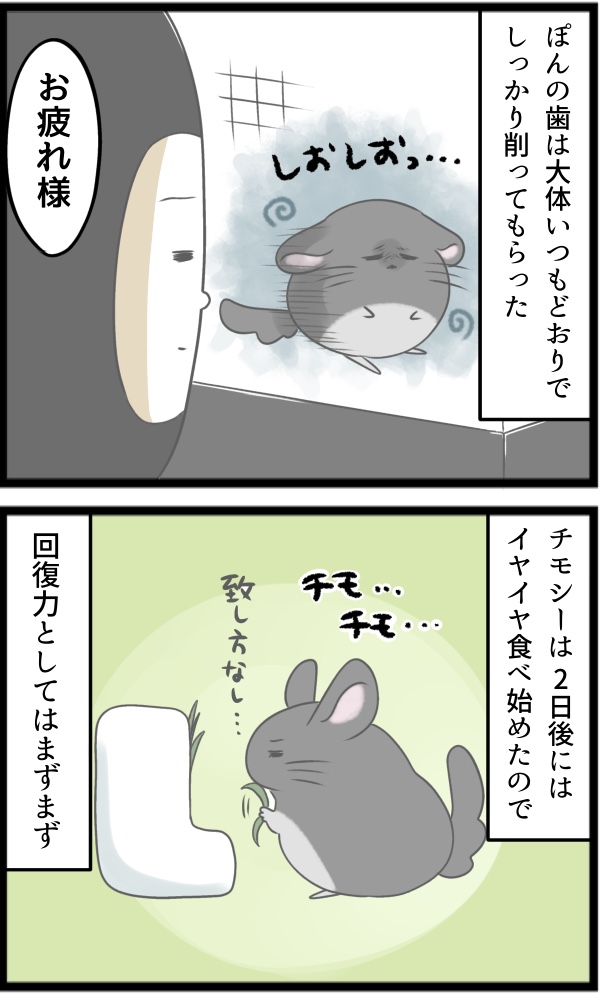 B2C44F5F-DCF7-4DFA-BF2A-37AF2F41644A