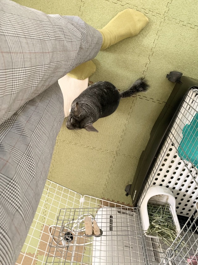 544C773E-F203-4110-9840-5FD02F7ACF59