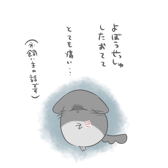 C4BF1297-E2D3-4321-B085-FCCC049CA2D4