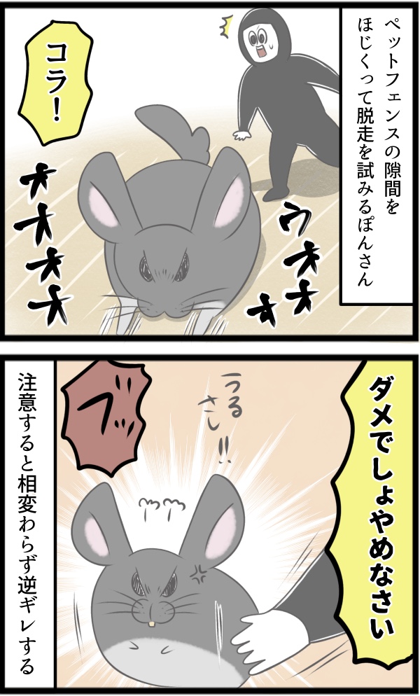 1EBF9304-790F-4168-9BC6-EAA3050002EA