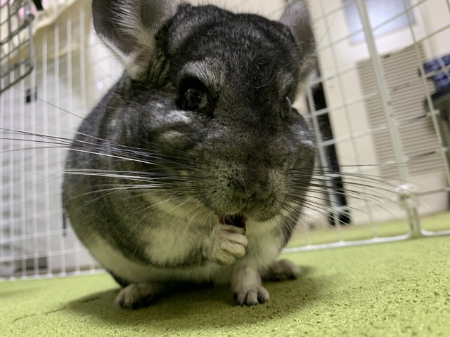 74884A01-B196-4946-BB12-54AB2B015A02