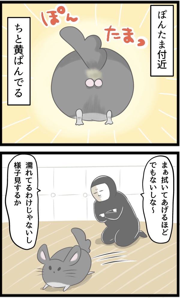 92B2CAB8-39B4-4F8A-9607-1D48206FF9F3