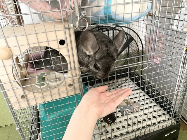 2BC1BDBC-A4BE-4723-8BEB-E8D67C48B8A0