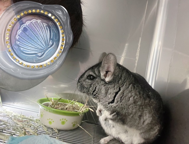 C642537F-42DA-4080-9964-40032D64CC91