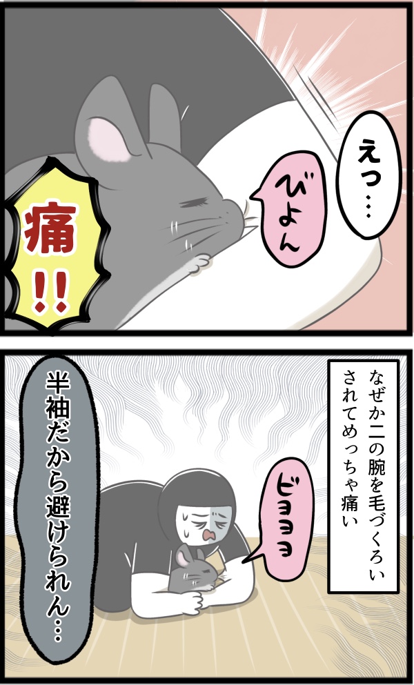 CA9D2B8E-4638-43C1-A06C-3FE6074A1294
