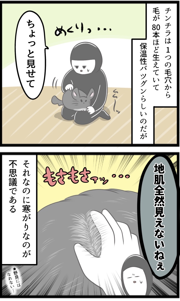 025608B2-05FF-408A-AE81-0CDEA9E1A175