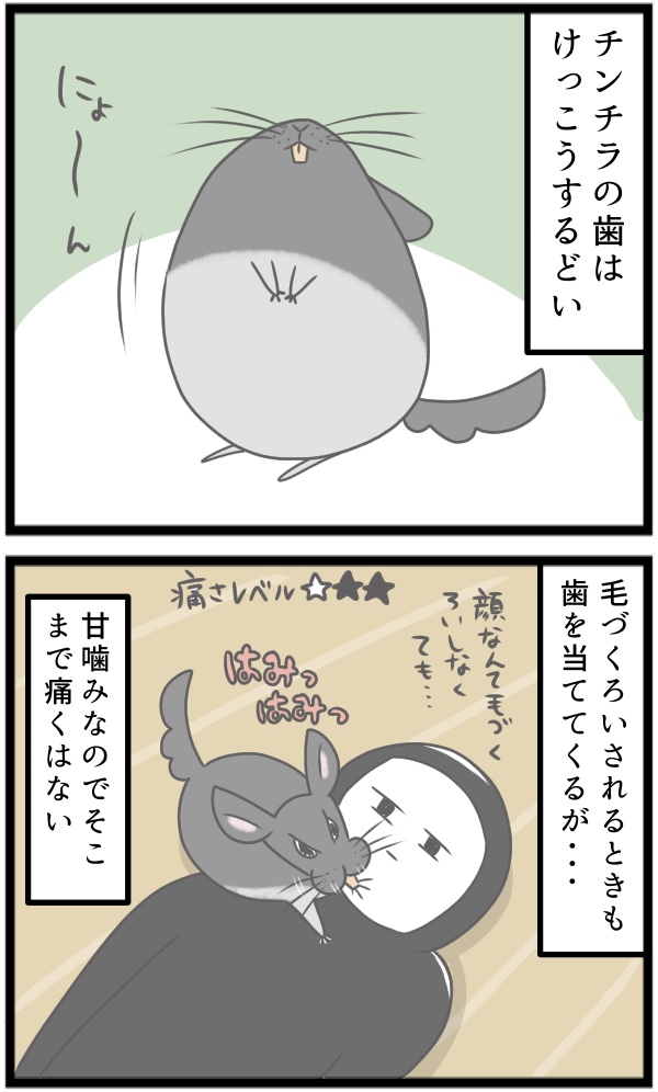 6CB06F2D-934B-477E-9AE8-6DB7F5A375EA