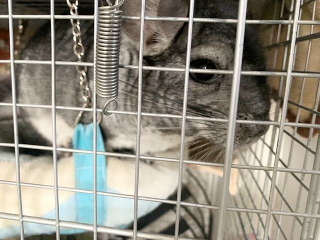 7763F7C9-C721-4C82-9856-3AC44F7ECAA3