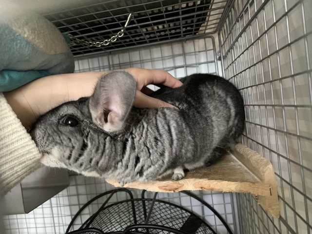 F3F53D0A-0E3E-42A4-A938-E03FC178B9EF