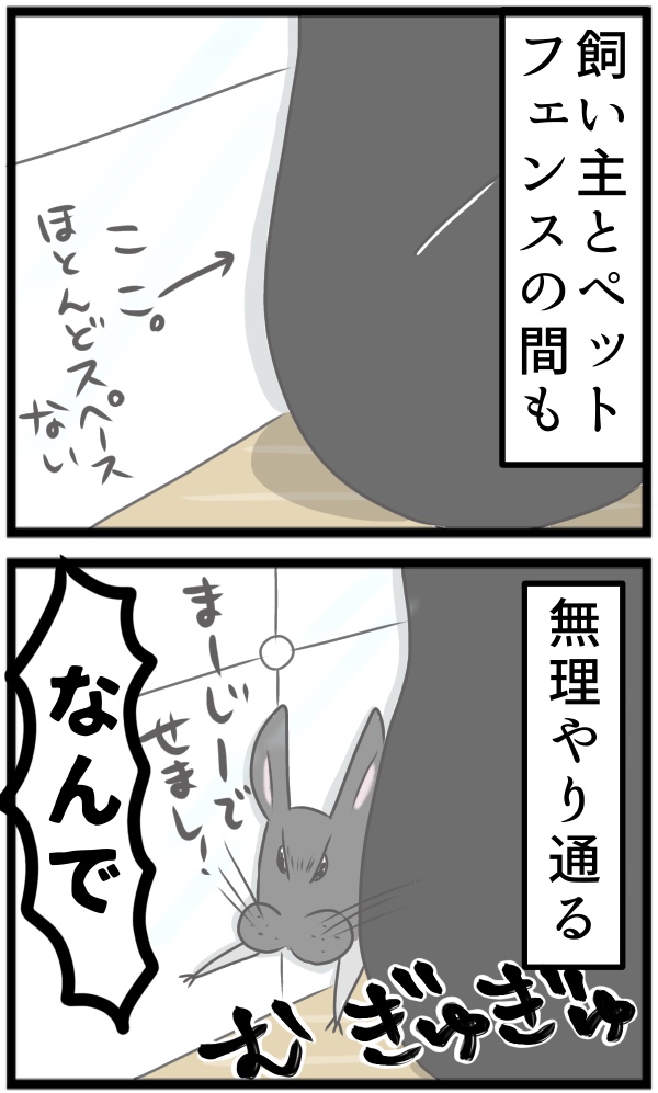 D0254DD0-D93C-46C2-AD78-552792A7E44B