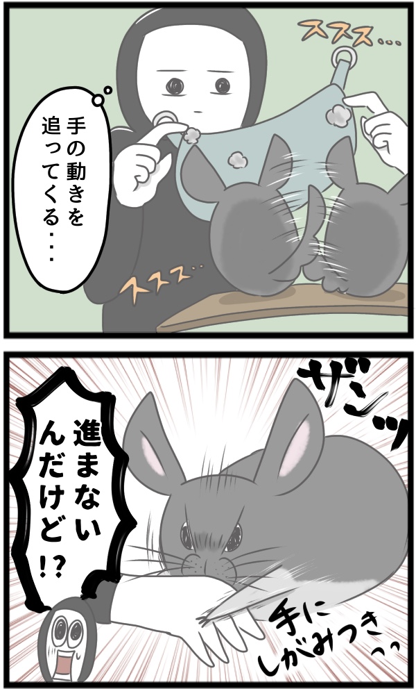 443A4C21-8D85-482A-BFC6-95588B7B283B
