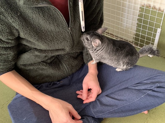 5B07CF89-9650-4CF6-9792-DEF8980BAB44