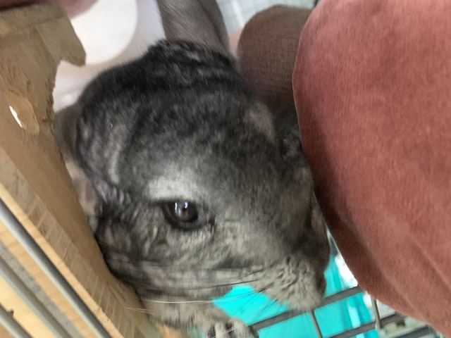 8A3493B3-4FD9-43EA-910C-6FC06B7404EE