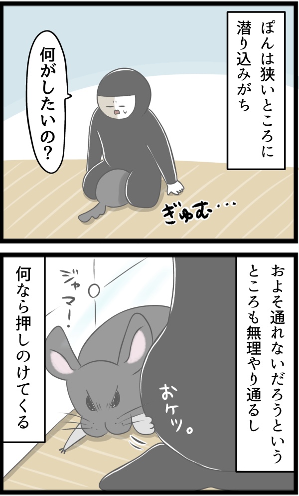 C02EF253-FDD1-47F3-B453-E75D5DD3FD28