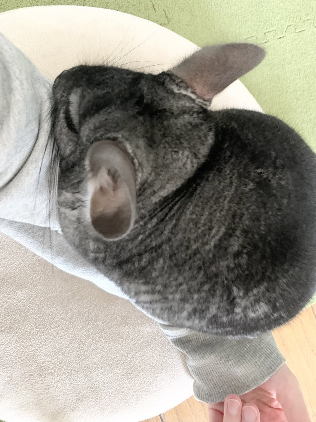 53AA9F81-78D1-4F97-AAA1-66627E904D70