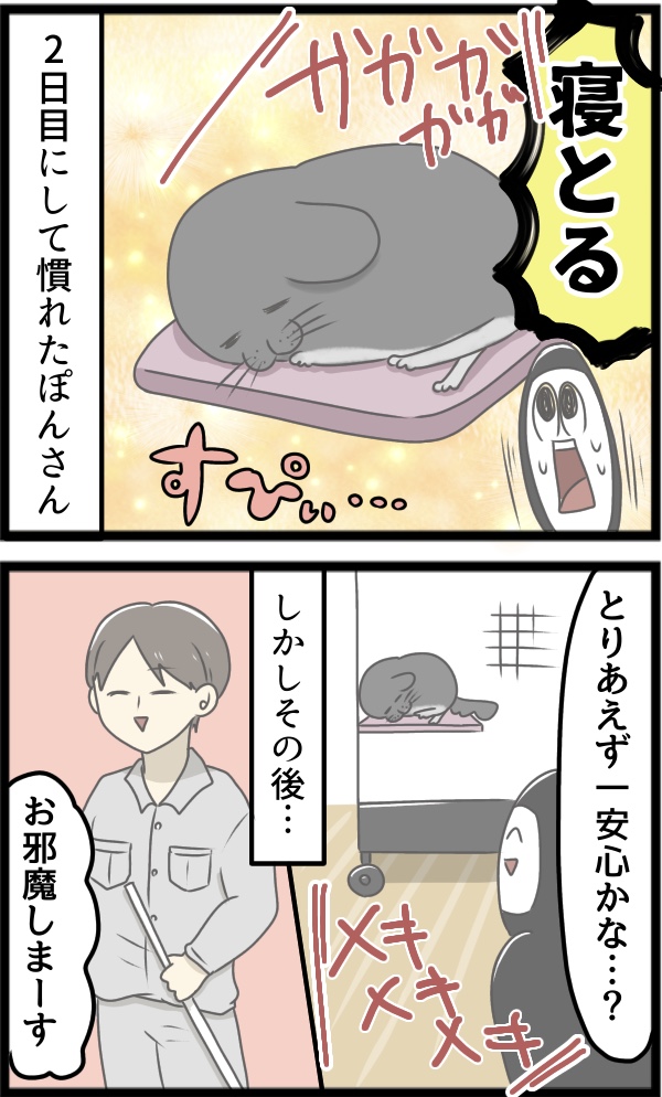7DCEB2CC-6D85-45B2-84EE-D5C2A51C200E