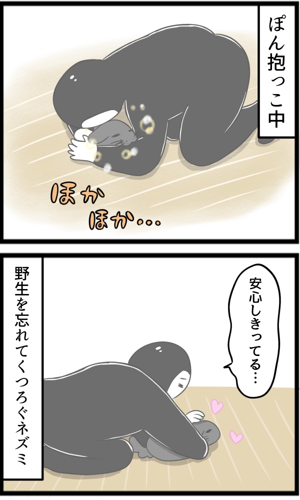 0F89E48F-2233-430A-917C-5B13C88118F3