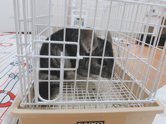 719FCD64-565C-4884-BEC5-254EA6F00730