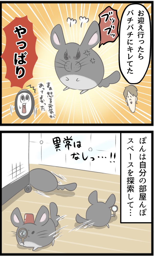 77F29D48-F7C9-430A-A9C9-8D132AB0CD31