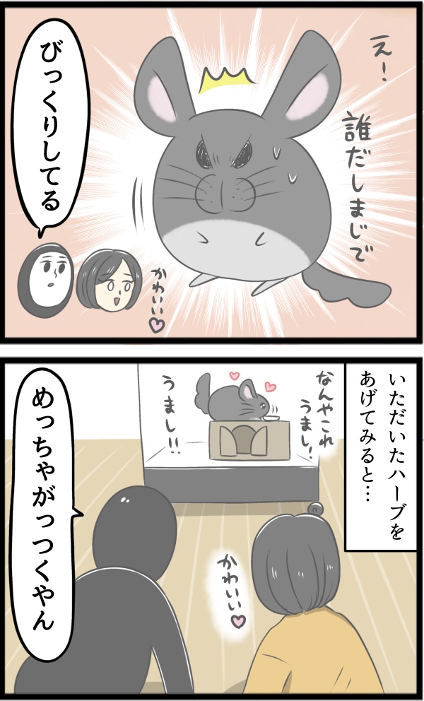 C3483354-4E0A-423F-BA5D-E0A6CE0E4B86