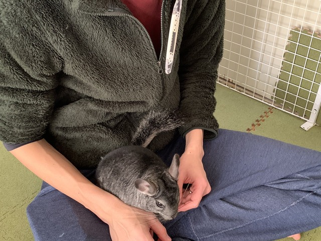 6E0C61FD-D8C0-4B45-8EE1-22FCBD72B535