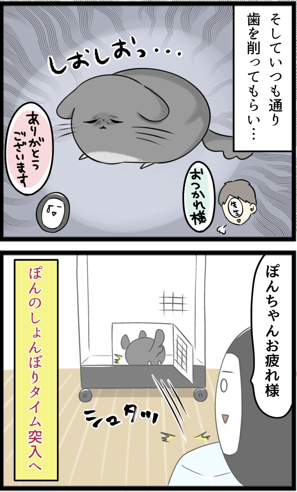 285D940F-E18F-46C8-8C09-4015A069D1C2