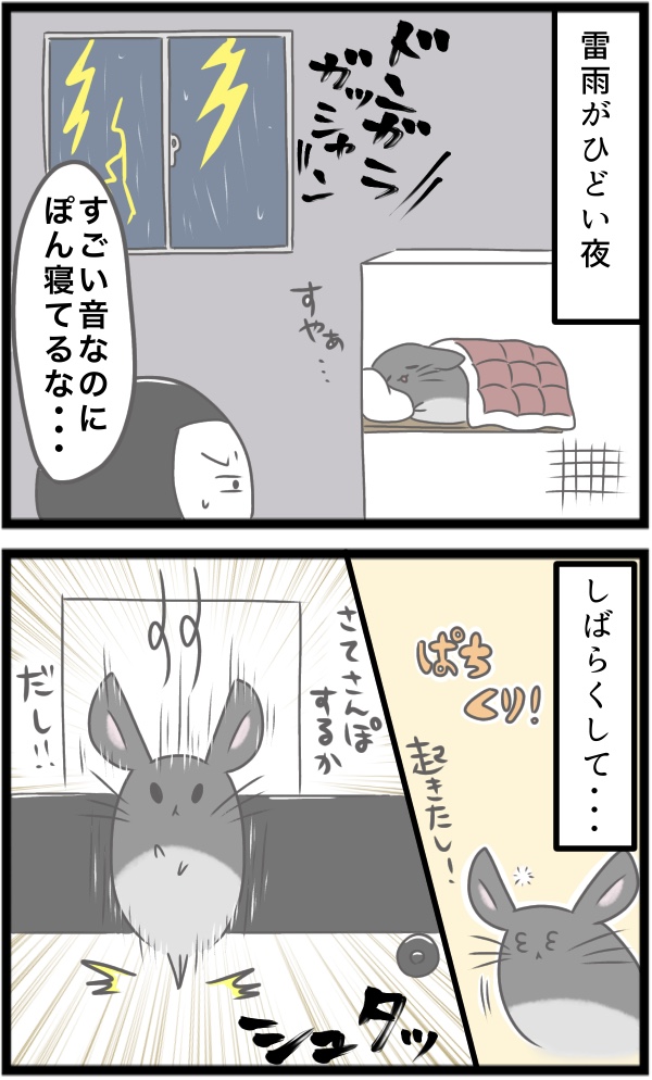 C5D8718B-B3F8-4C39-B041-5257404CE3EC