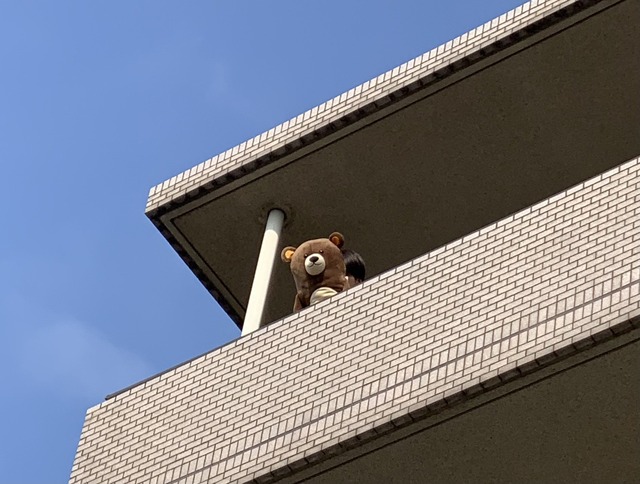 3280766B-2275-485B-A0D6-3AFF5B2626FF