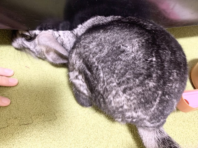 0408AAB4-9E07-4640-A8FA-4531E88A6DFE