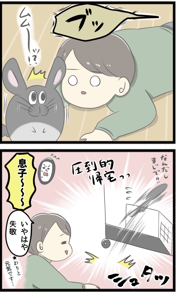 D6551A69-D6AB-462F-ACDC-67FBD6499721