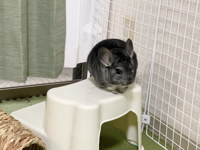 692838AD-1014-486C-849E-C6F0EBC54A23