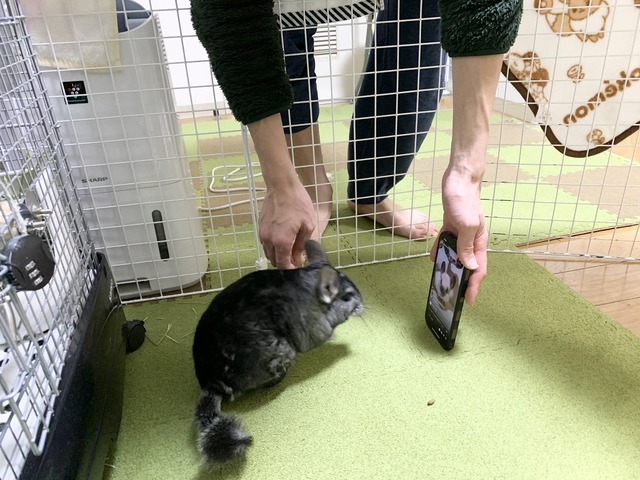 D75CD902-5998-42D5-9C62-0DF91D57AE80