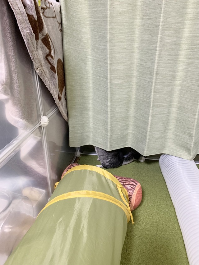 02F4455B-FD8B-4398-832B-D909D173C55F