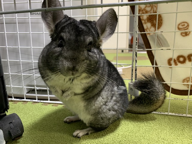 34F31E81-290B-4764-82C8-2CC951B77FAE