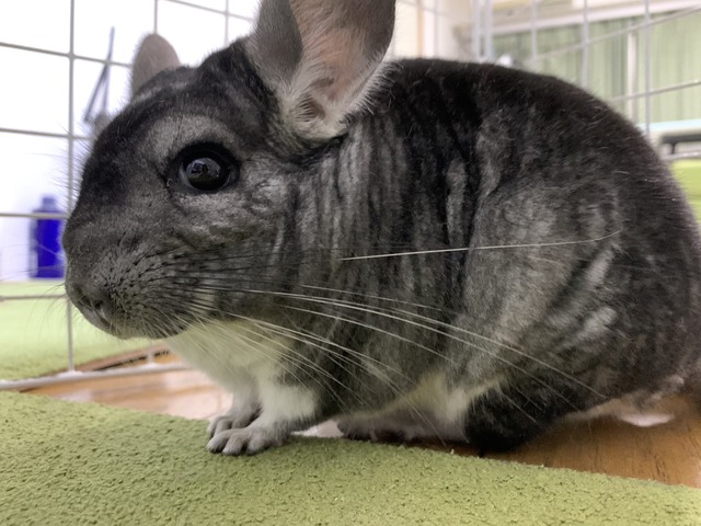 BEDF8F3D-8F31-404D-8DBE-64B00024408A