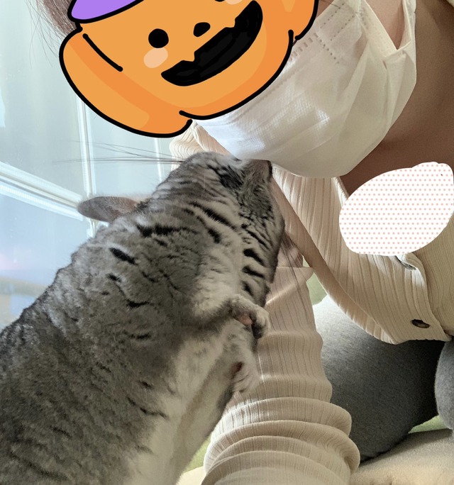 2E131161-5ADB-4FC3-97A1-52117B99E037