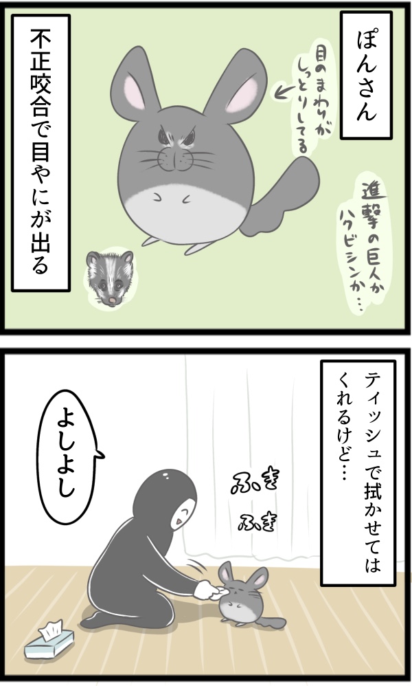 D488F480-BC0C-426B-A338-036C07489895