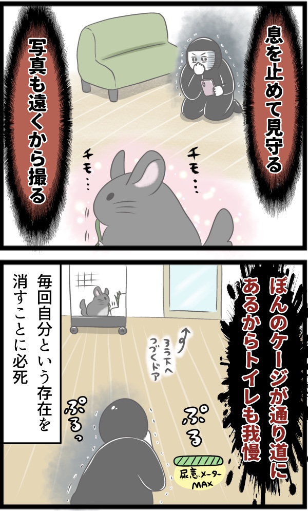 30CF8ACC-3336-44A0-B019-6B801F365C7C