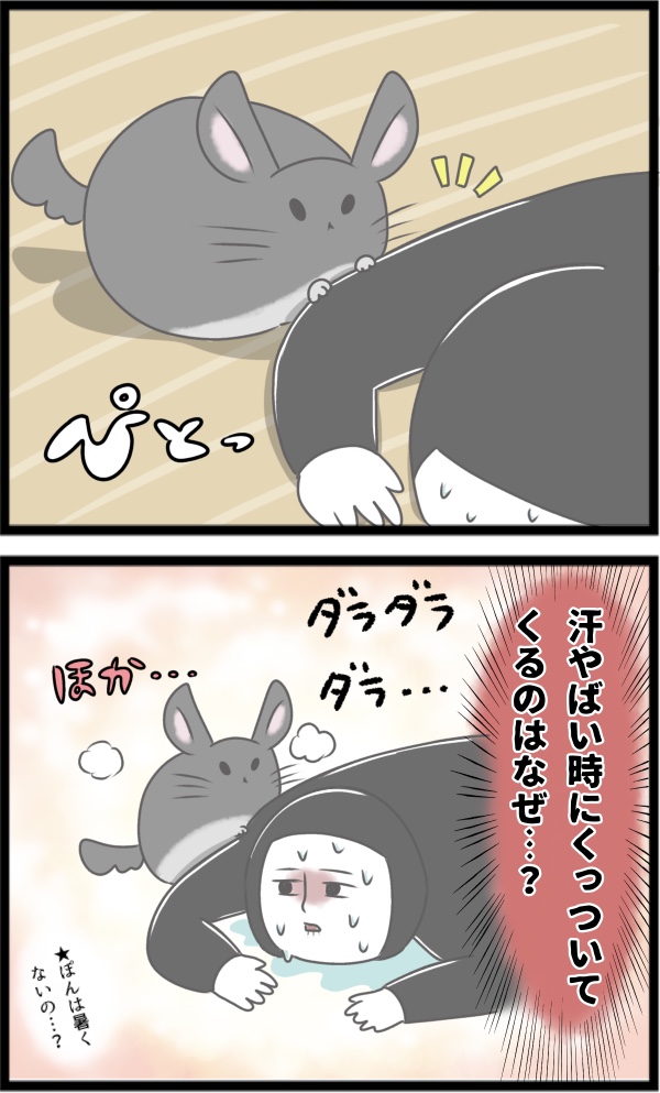 E2C0790B-3419-49C0-A1E8-6C06CDDE8B8F