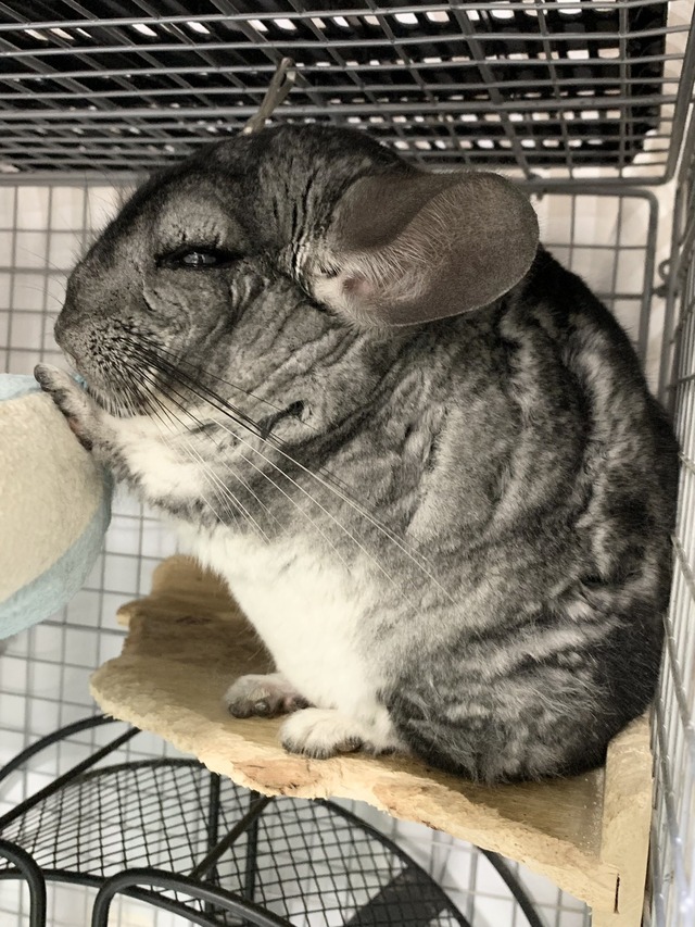 E1184CAF-22FE-4822-A58F-51B8C4A008D6