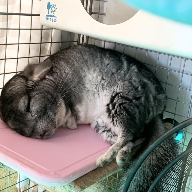 9E6BB539-2AA6-4A07-BAE9-F9AF100702D5