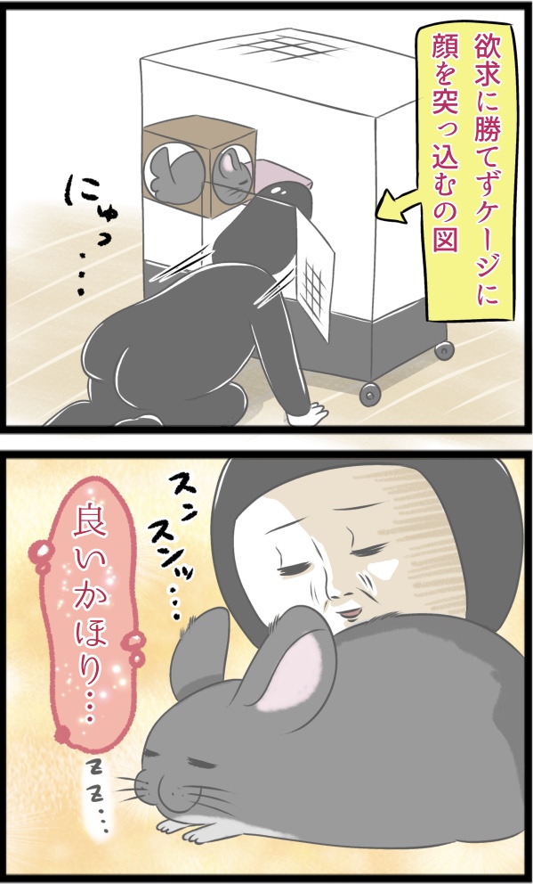 C36573BD-A233-4042-82E9-E877DF4D902F