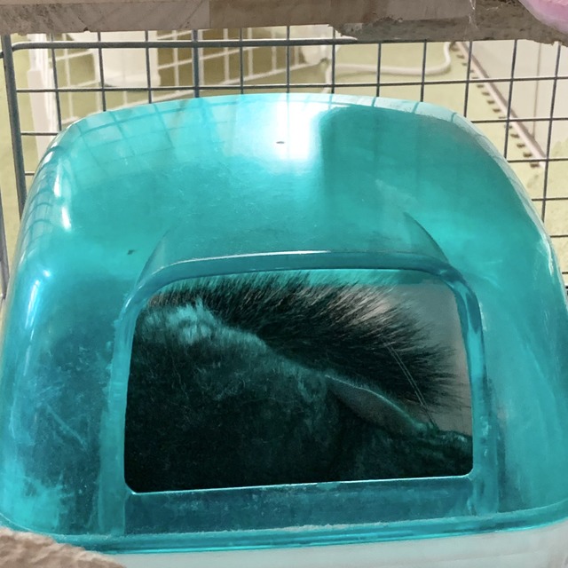 56E5A36D-AE86-462E-8027-C54E6463A31E