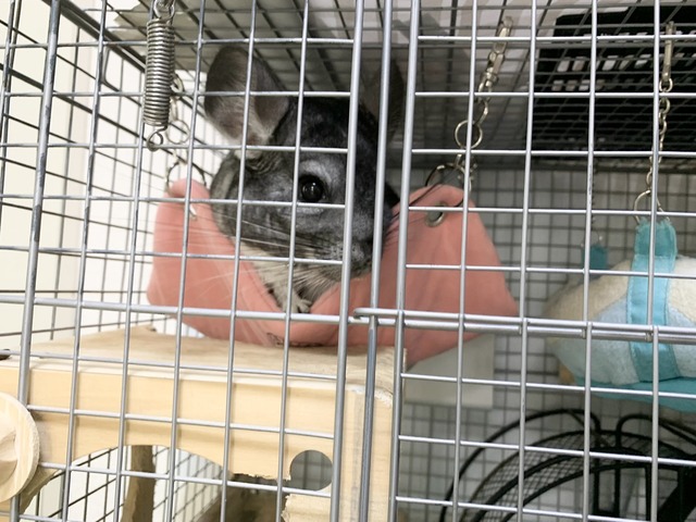 8934EC94-7449-42BF-918F-F4689FA801C1