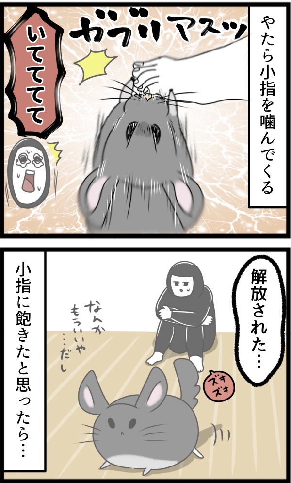 23D99525-ECA0-4726-8C7F-097CB646F2B2