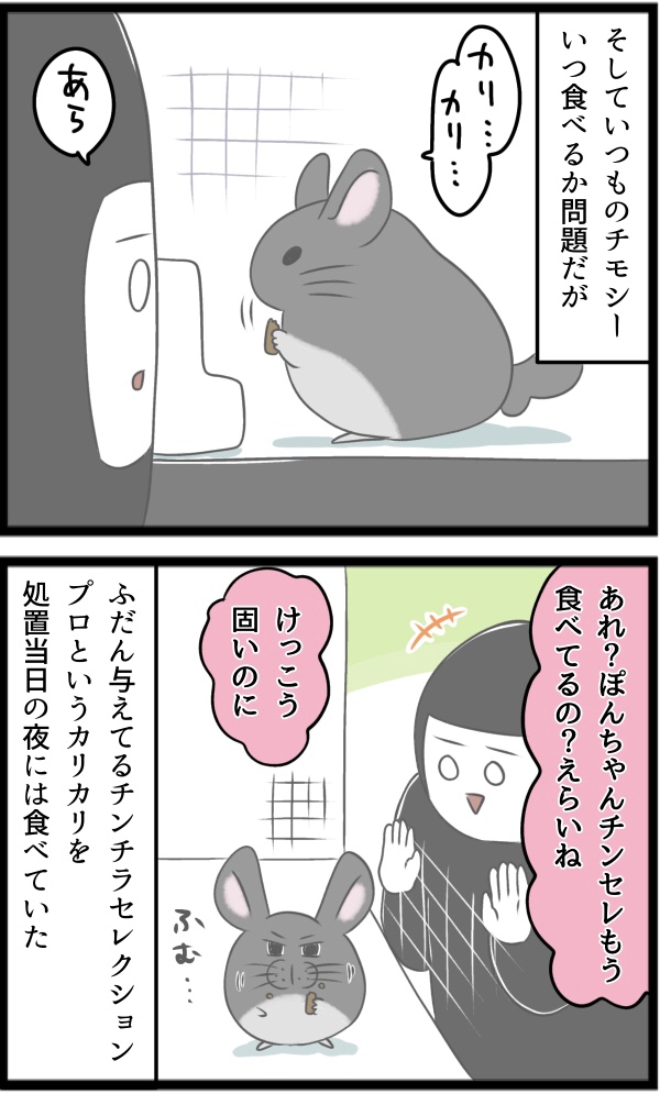 9485F881-33CA-4CE8-9B9F-740E3B8C7487